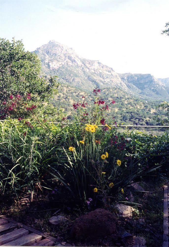 Bellevue Guesthouse Three Rivers Esterno foto